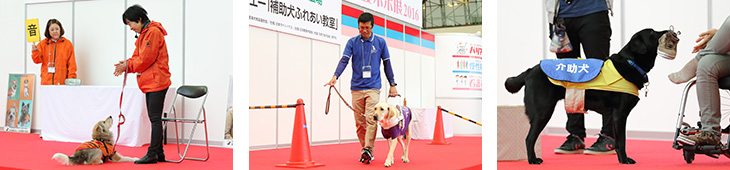 ダイエー補助犬ふれあい教室
