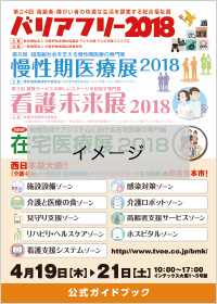 公式ガイドブック